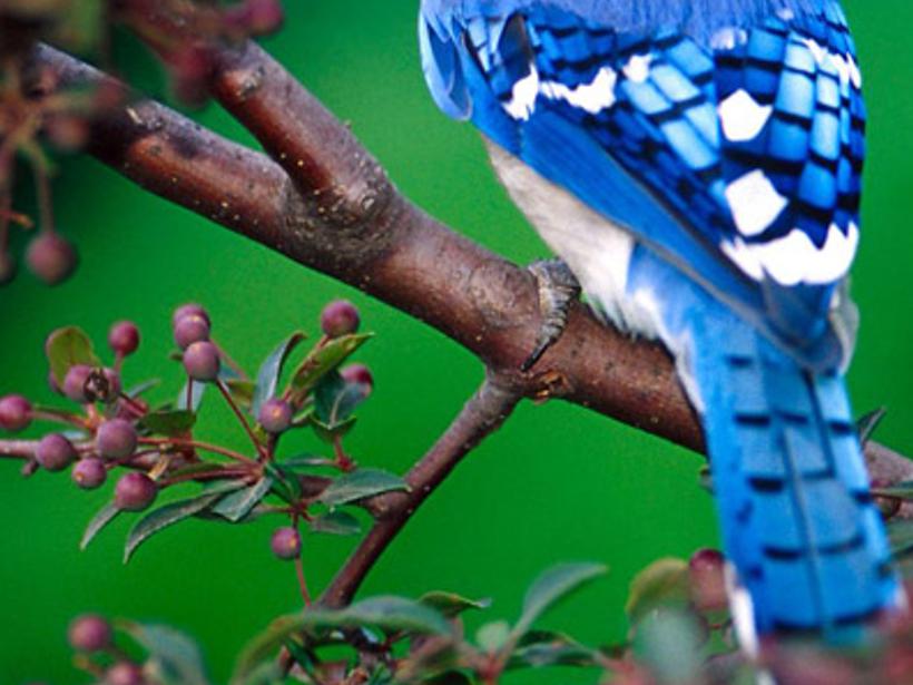 vednul's profile banner image