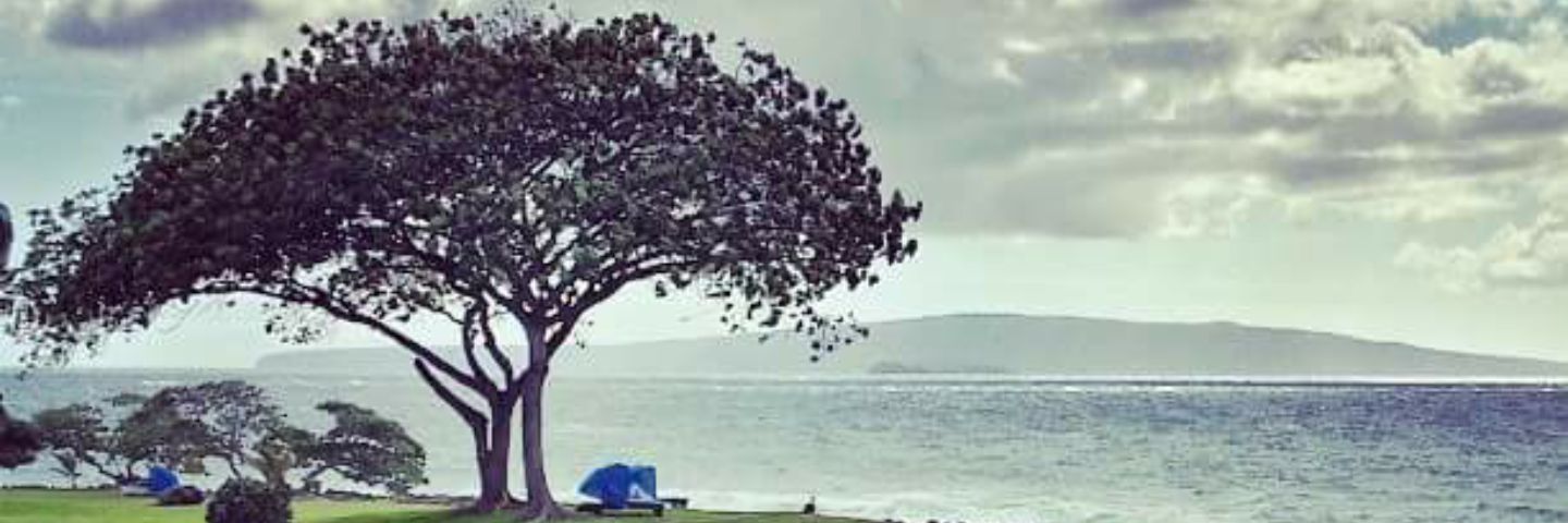 Diamond___Joe's profile banner image