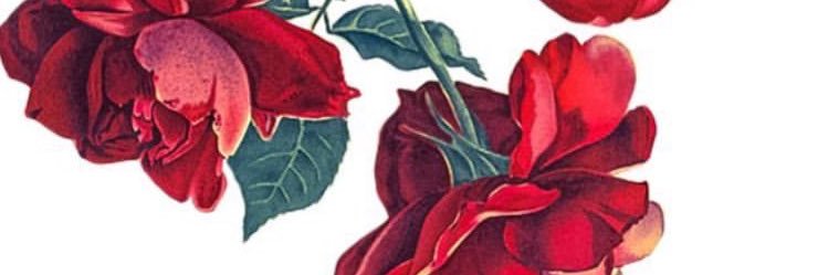 lex_herdle's profile banner image