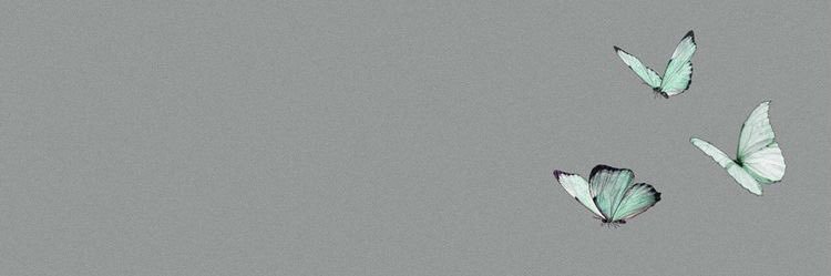goodgaleddie's profile banner image