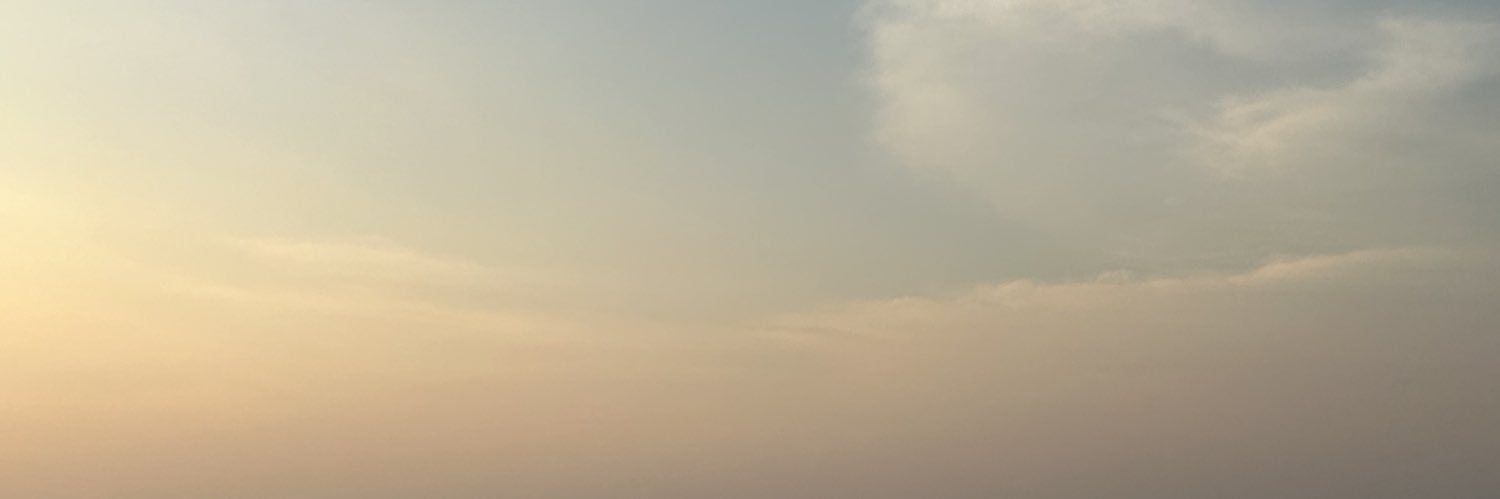 Faika El-Nagashi's banner