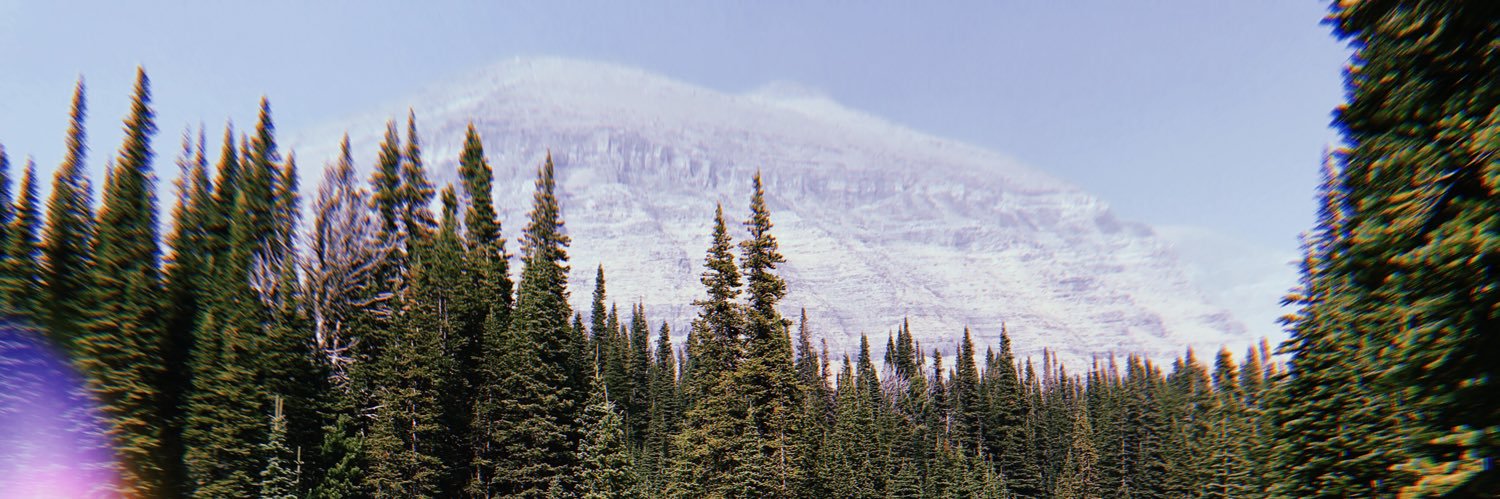 alybrooke_'s profile banner image