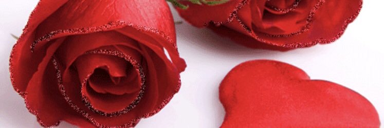 Lizricketts2's profile banner image
