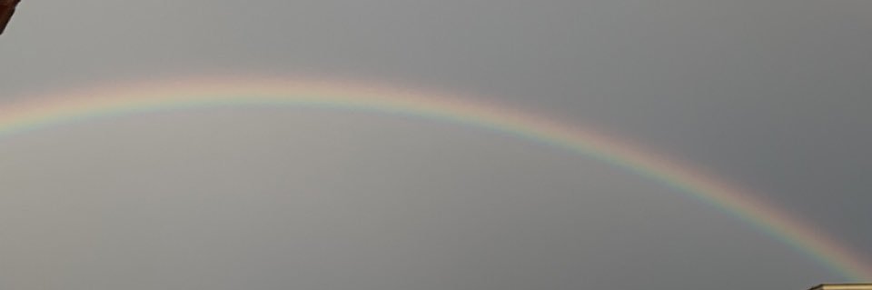 sxndragmz's profile banner image