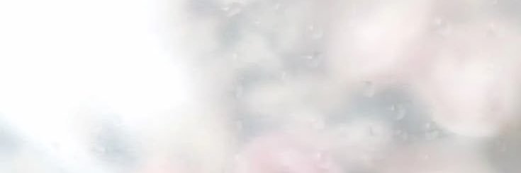xsooxe's profile banner image