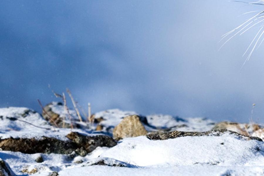 hetioreroodo's profile banner image
