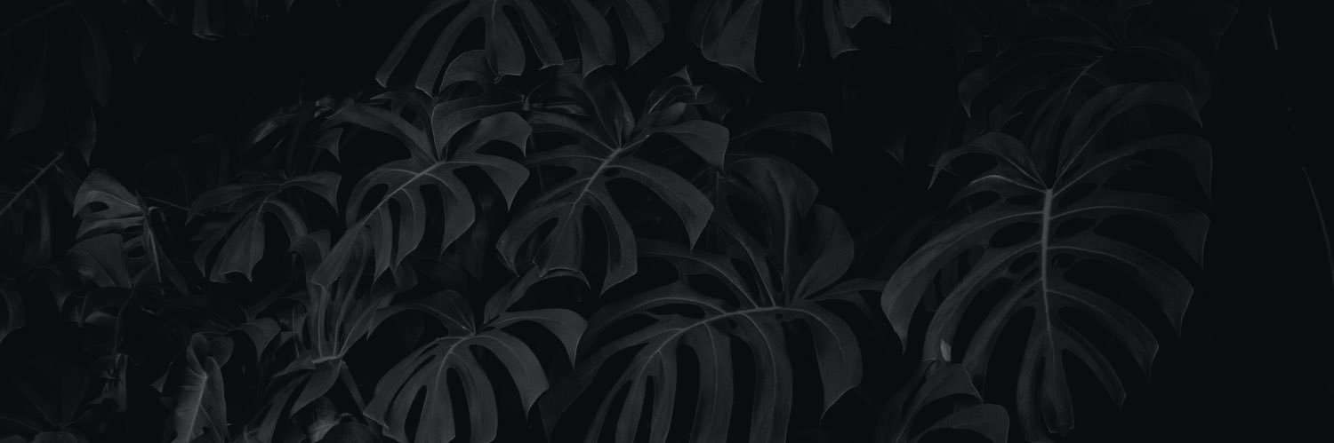 TheDaniel_G's profile banner image