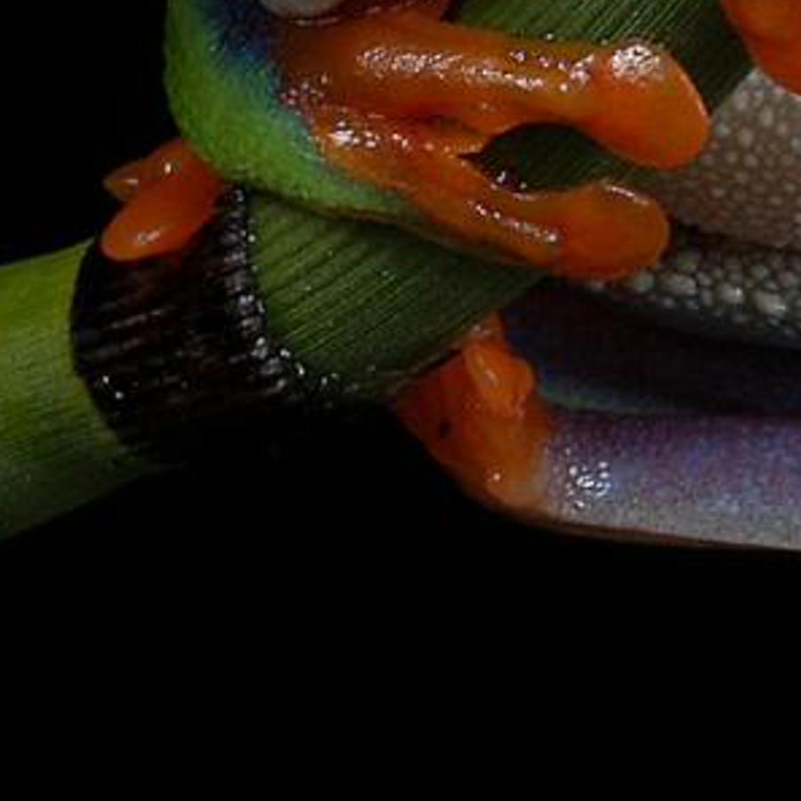 henlerefome's profile banner image