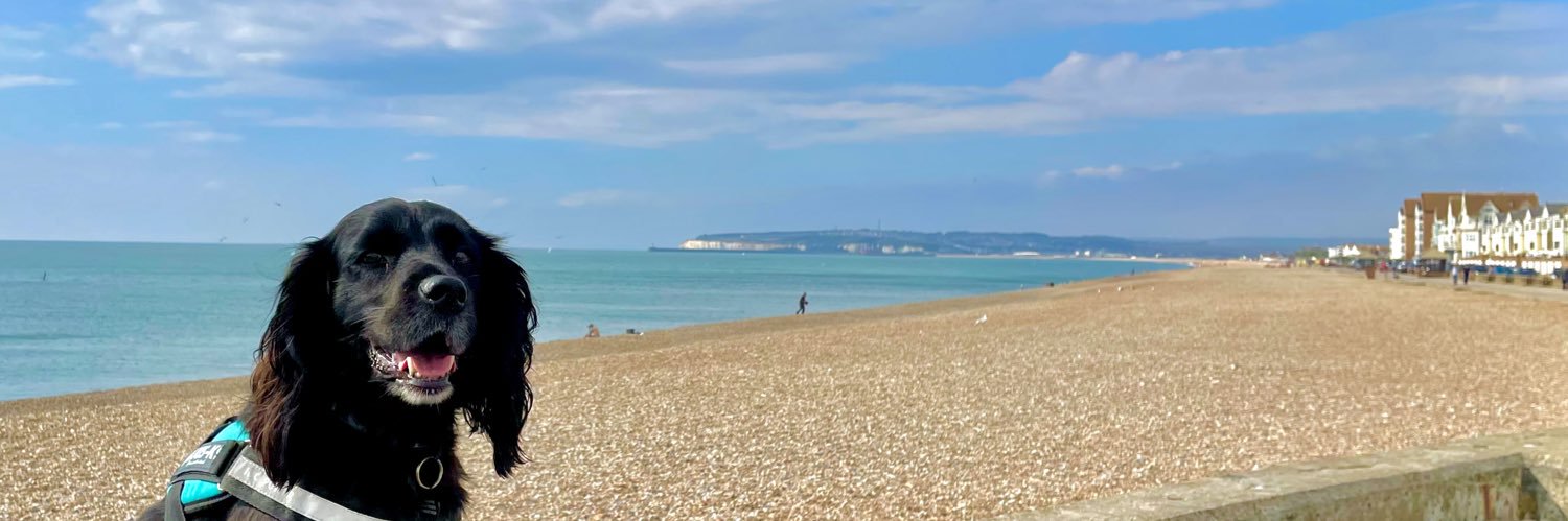 EmilyR111's profile banner image