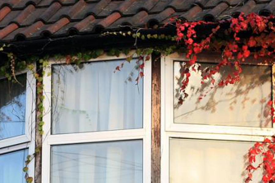olndarncll's profile banner image