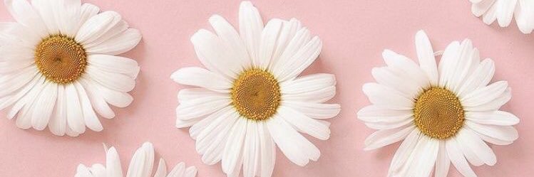 topetedojb's profile banner image