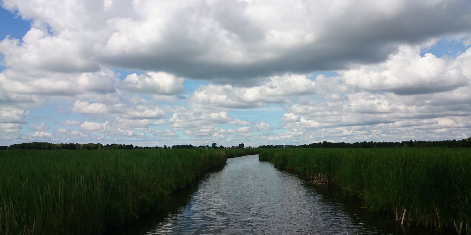 Kees_deGroot's profile banner image