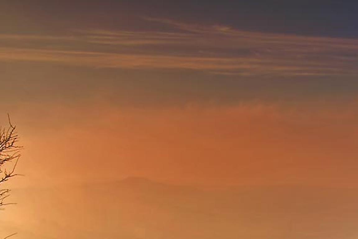 inenecre's profile banner image