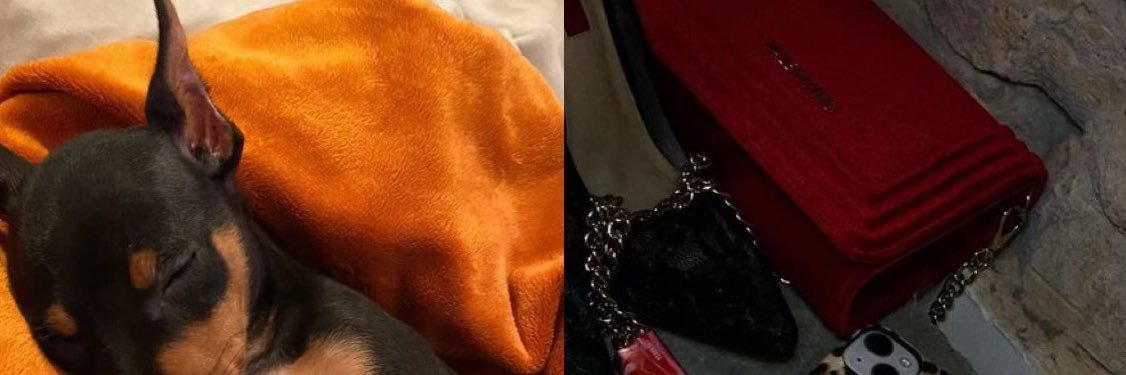 niceefawhatt's profile banner image