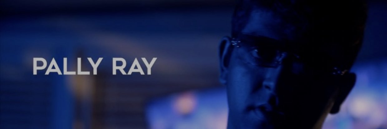 🎶 Pally Ray 🎶 banner