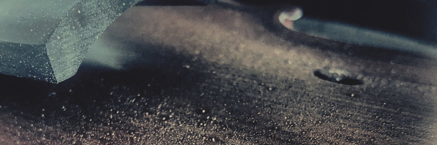 Ramona Schnauzevoll banner