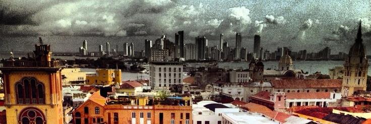 Elsa Marinovich banner