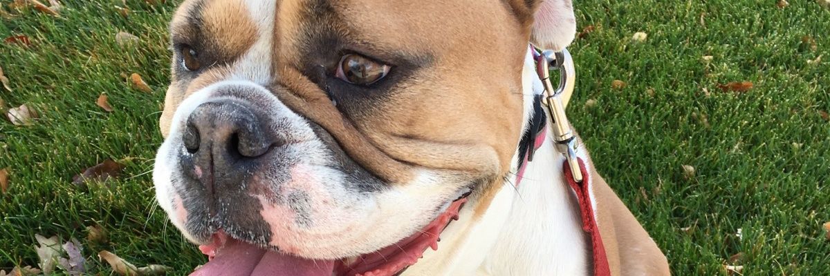 KGdba's profile banner image