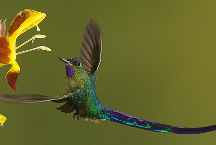 kitrsta's profile banner image
