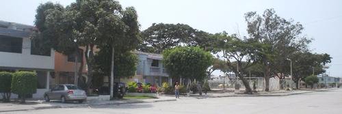 comiteesteros's profile banner image