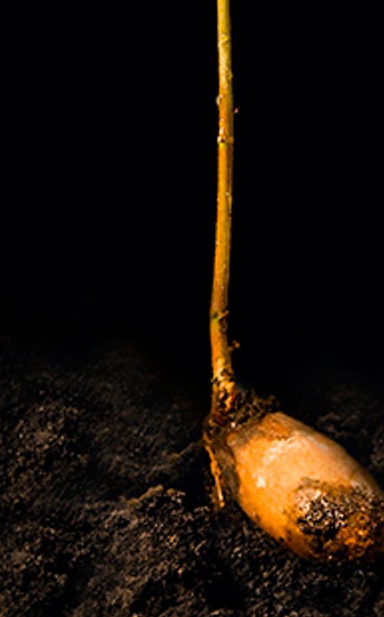 inderec's profile banner image