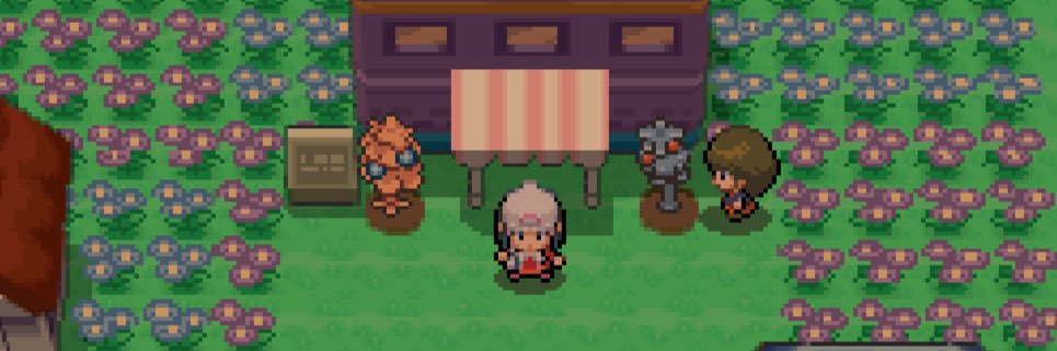 hana banner