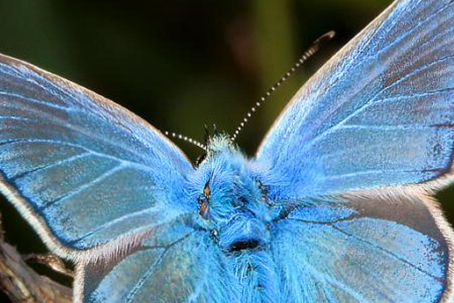 verarrtit's profile banner image