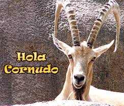 corneador32's profile banner image
