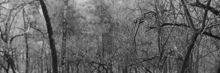 JDPGevawer's profile banner image