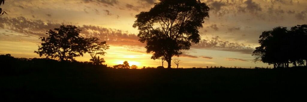 amandaa_arruda's profile banner image