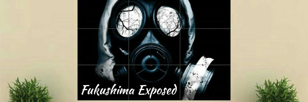 FukushimaExposd's profile banner image