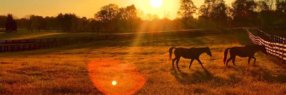 JC_Little456's profile banner image