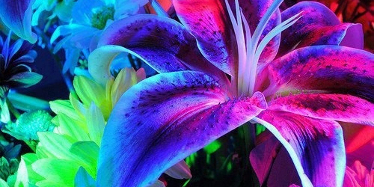 Tatihele_'s profile banner image