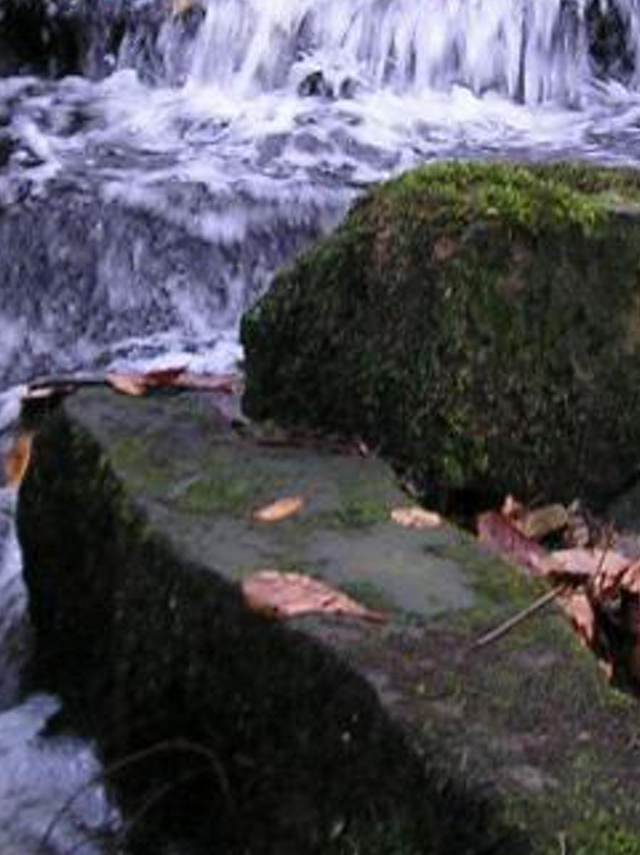 pabecen's profile banner image