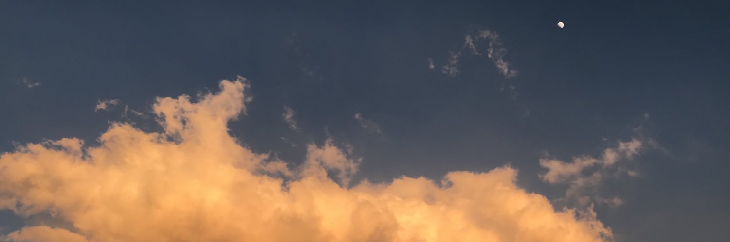 lu banner