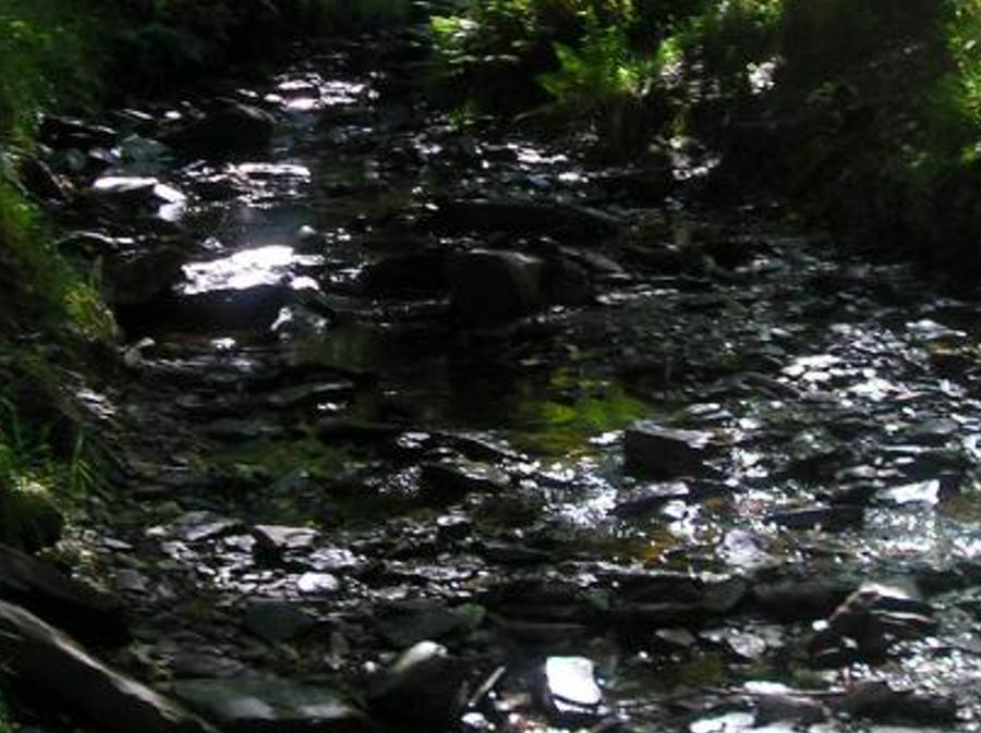 strorameasm's profile banner image