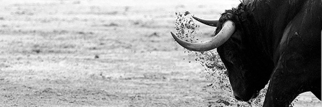 MIRIAM CARDONA banner