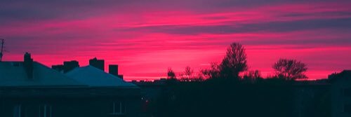 young22bog's profile banner image