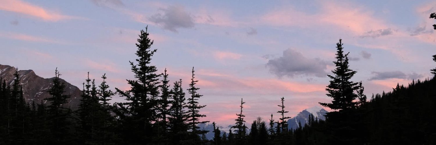 lisa_uxdesign's profile banner image