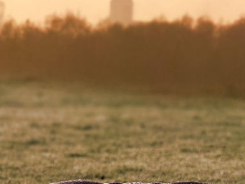 ocunste's profile banner image