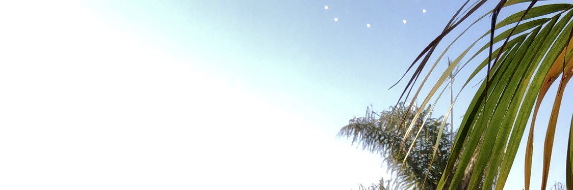 ShaydaNazifpour's profile banner image