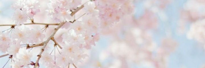 BoyceBrittany's profile banner image
