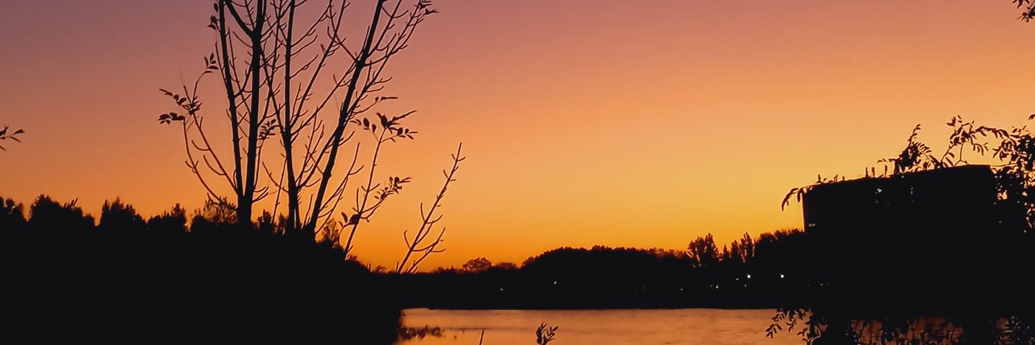 IbacaacheSheeii's profile banner image