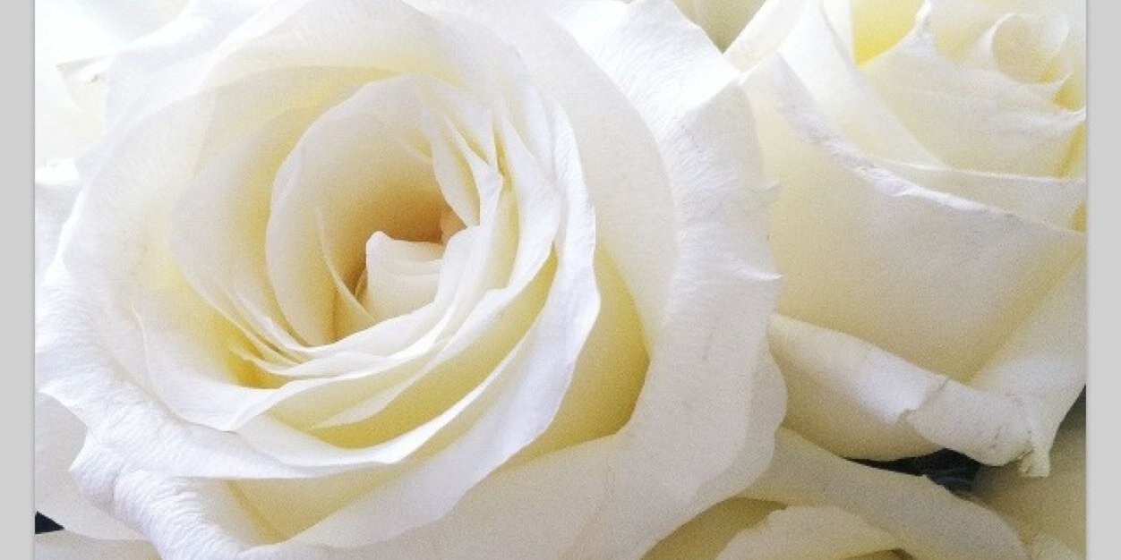 LateValentine's profile banner image