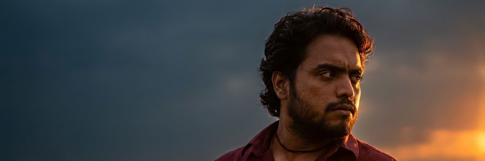 ✨ Pulikesi✨ banner