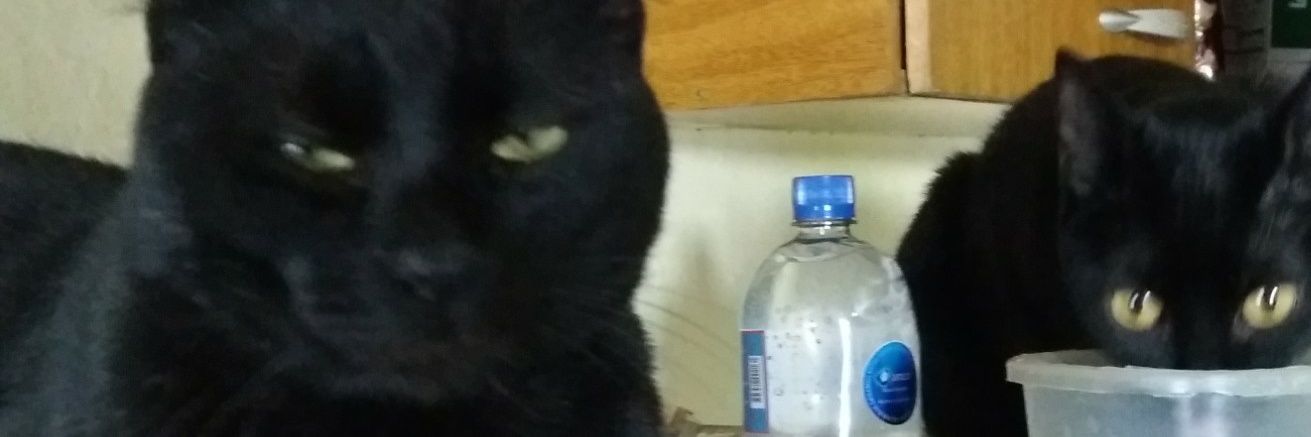 VoldermAr's profile banner image