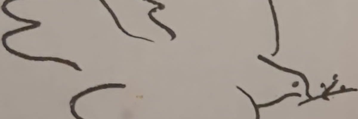 NoeRuiz_AMA's profile banner image