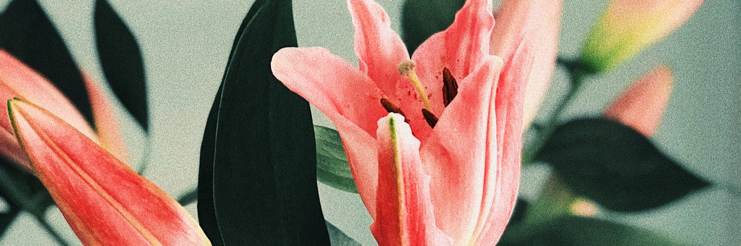 DuffieldLily's profile banner image