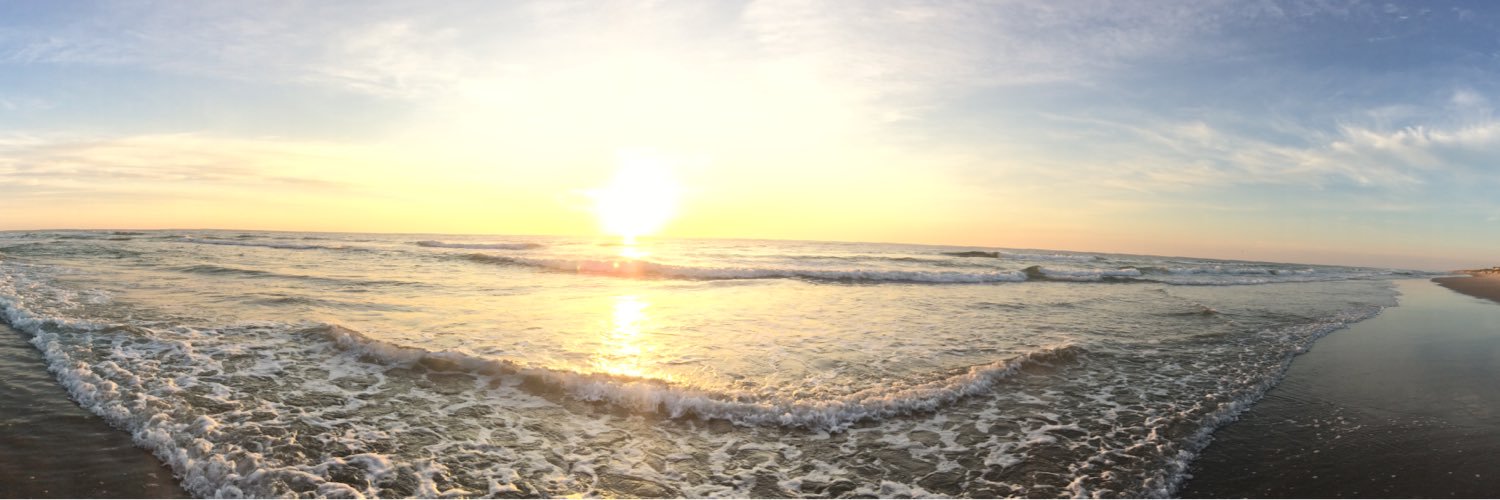 rodalejo's profile banner image