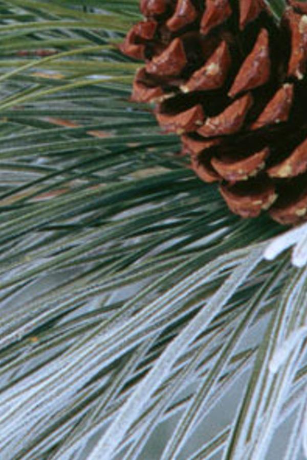 houreridawn's profile banner image